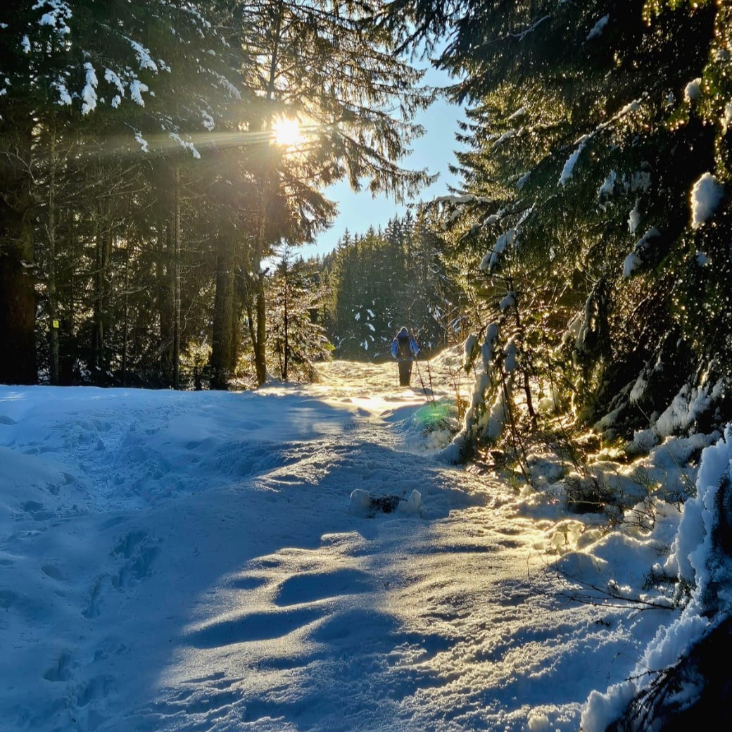 WhatsApp Image 2025-12-09 à 17.32.08_86473954